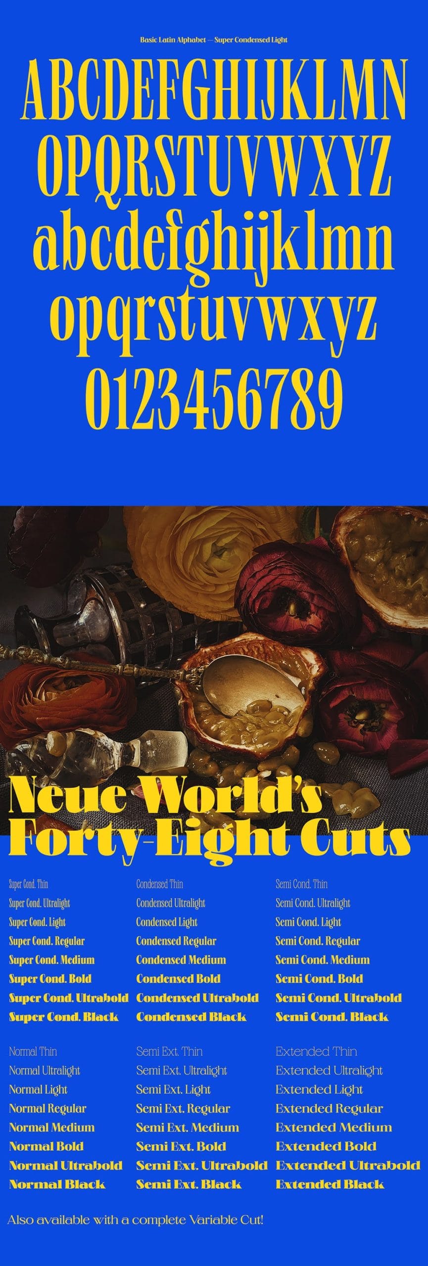 Download Neue World Font Family 48 styles Neue World Font Family 48 styles preview 7