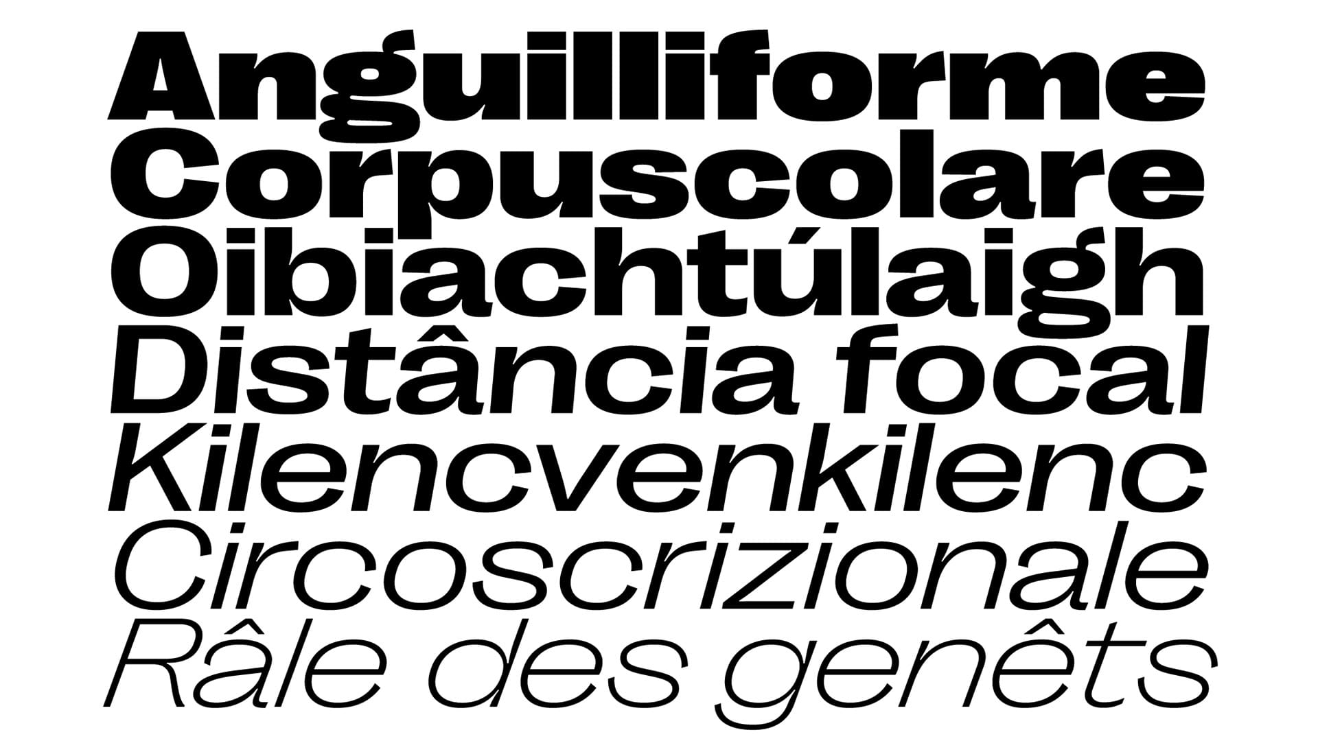 Right Grotesk Font Family trọn bộ preview 5