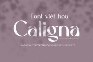 Font Caligna Việt Hóa – Font chữ hiện đại Font Caligna Việt Hóa preview 1