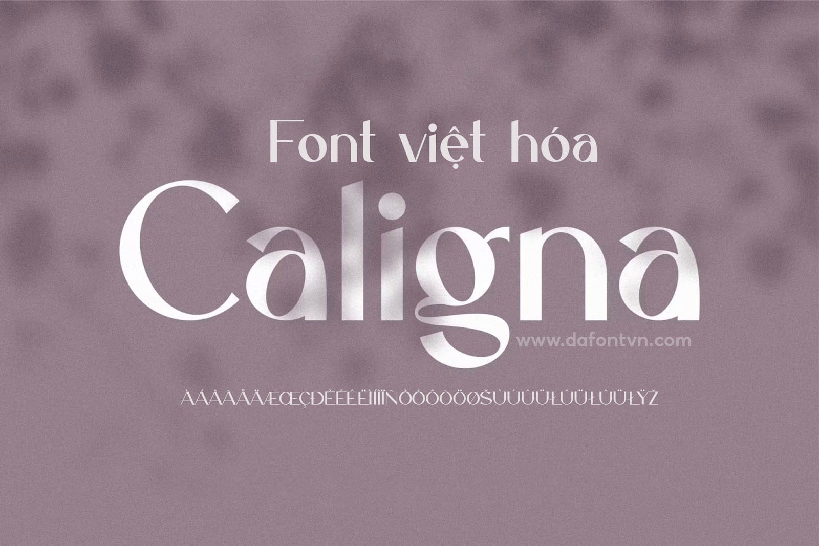 Font Caligna Việt Hóa preview 1
