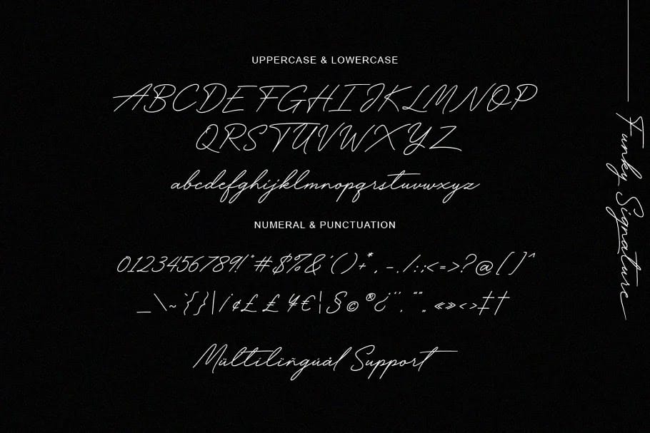 Font Funky Signature Việt Hóa - Font chữ ký viết tay Font Funky Signature Việt Hóa preview 4