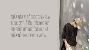 Font iCiel Finch Việt hóa preview 1