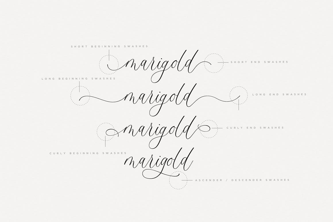 Montery Script - Font chữ viết tay Việt Hóa Montery Script preview 4