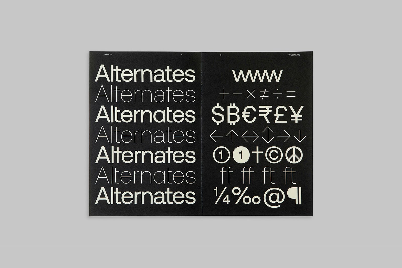 Aeonik Font Family Full preview 12