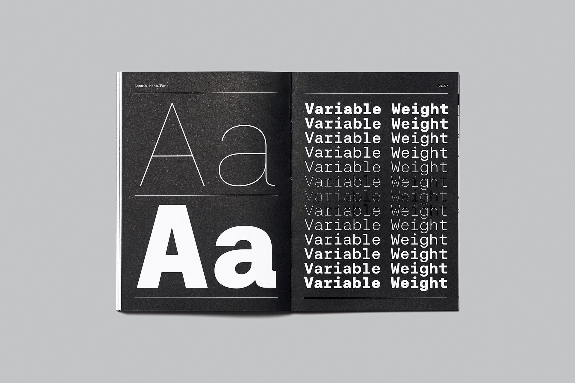 Aeonik Font Family Full preview 9