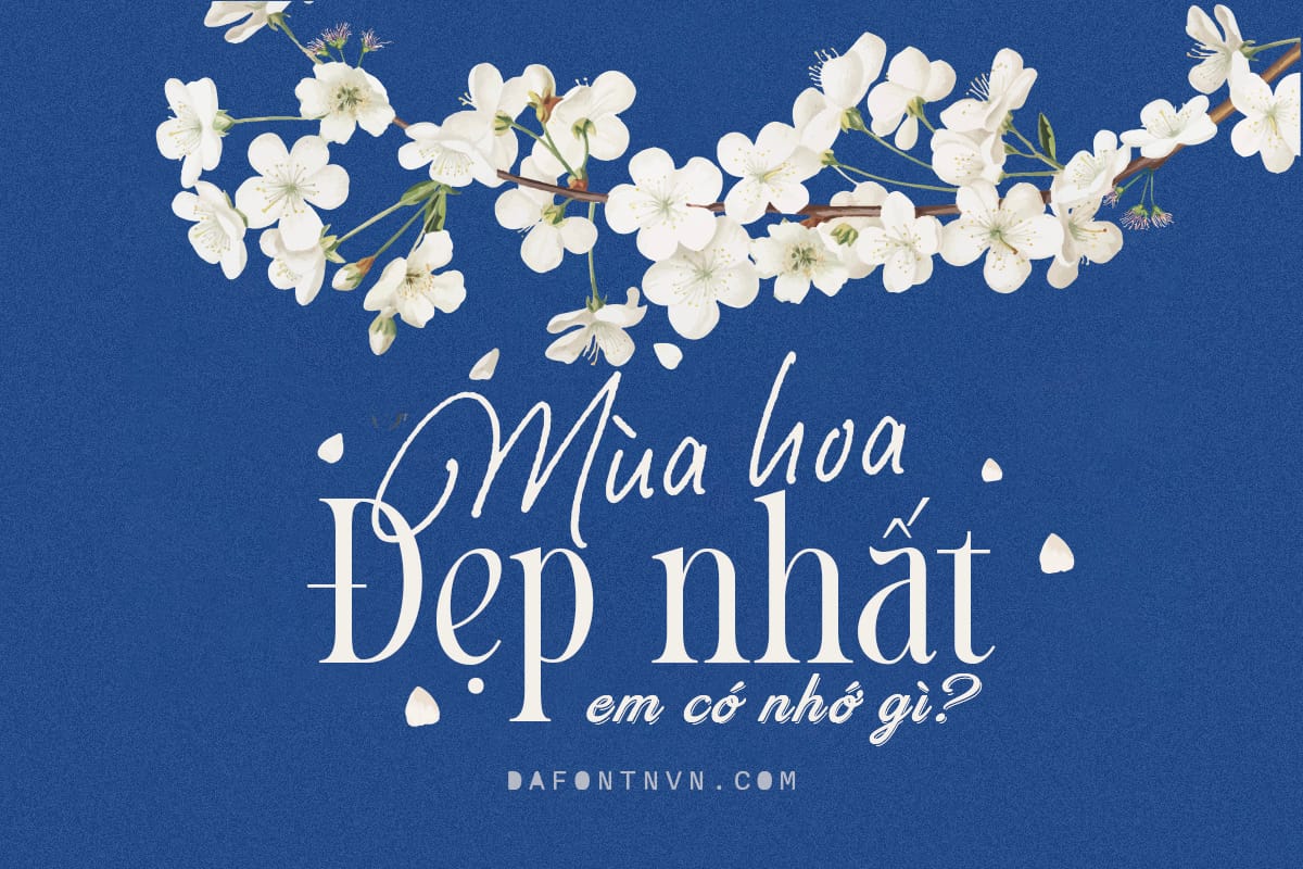 Font việt hóa Appears - 1 chiếc font khá đẹp Font việt hóa Appears preview 4
