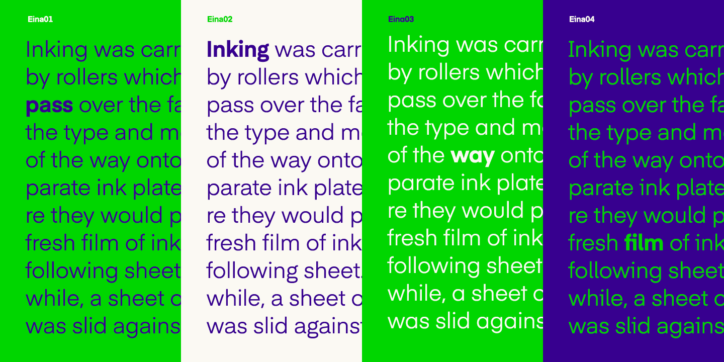 Eina Font Family preview 5
