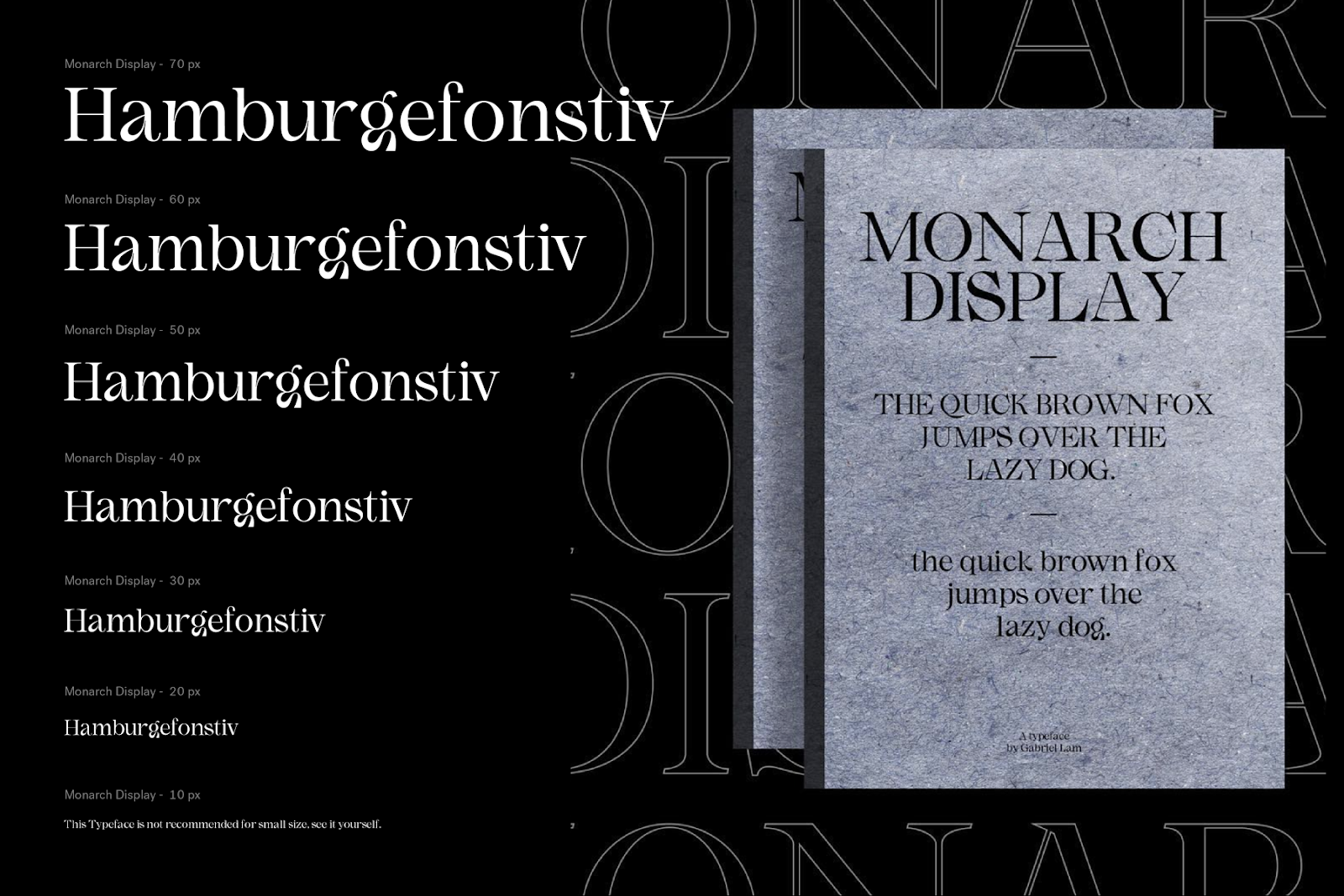 Font Monarch Display preview 6