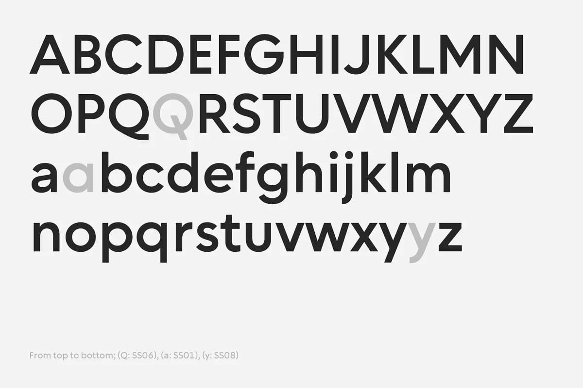Chesna Grotesk Font Family preview 2