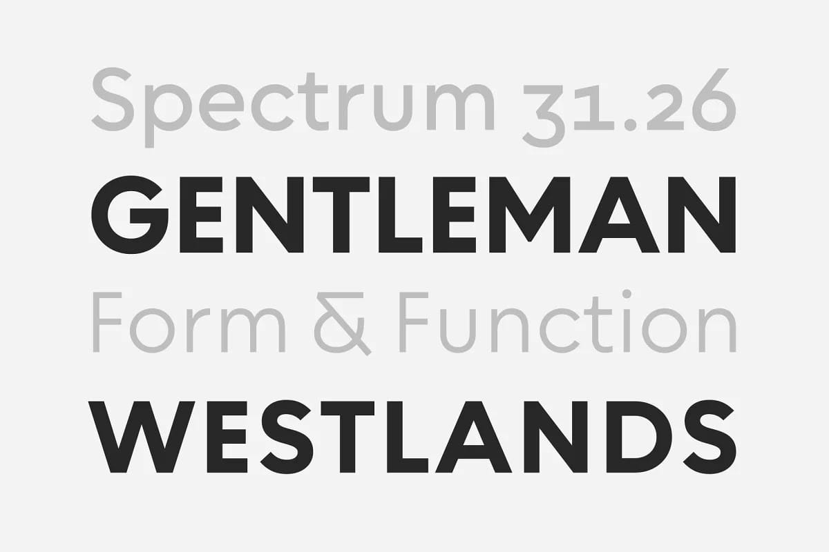 Chesna Grotesk Font Family preview 5