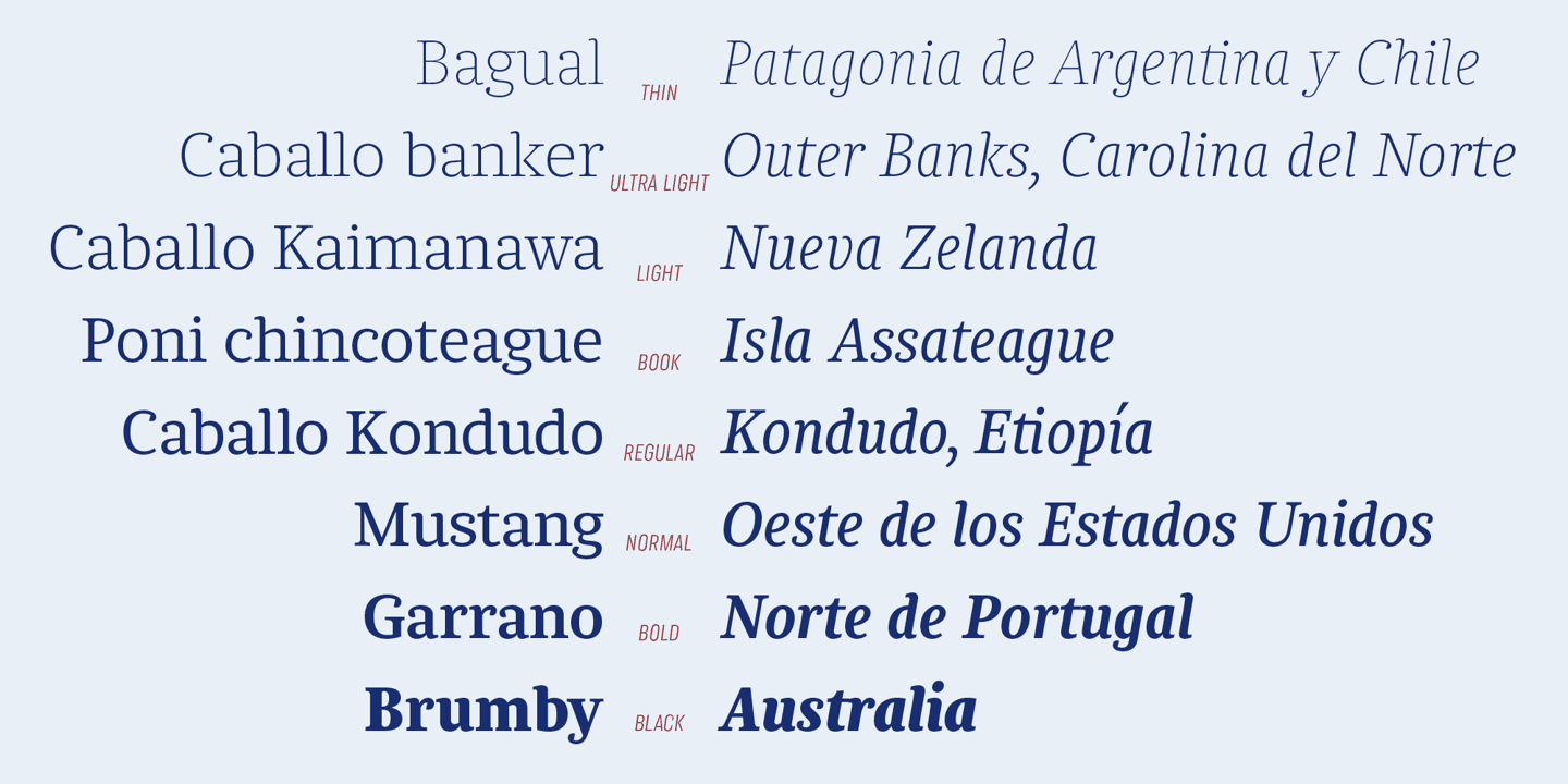 Chucara Next Font Family preview 8