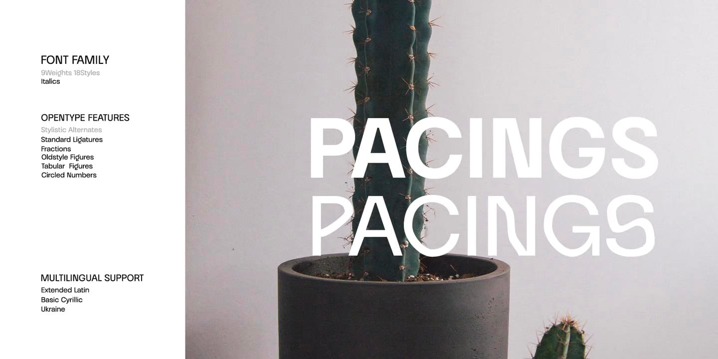 Priego Font Family 18 fonts (Free Download) Priego Font Family 18 fonts preview 5