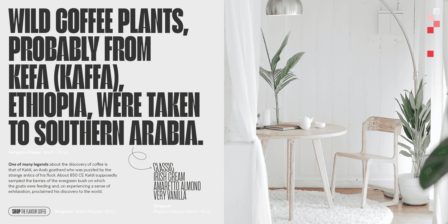 Seriguela Font Family preview 5