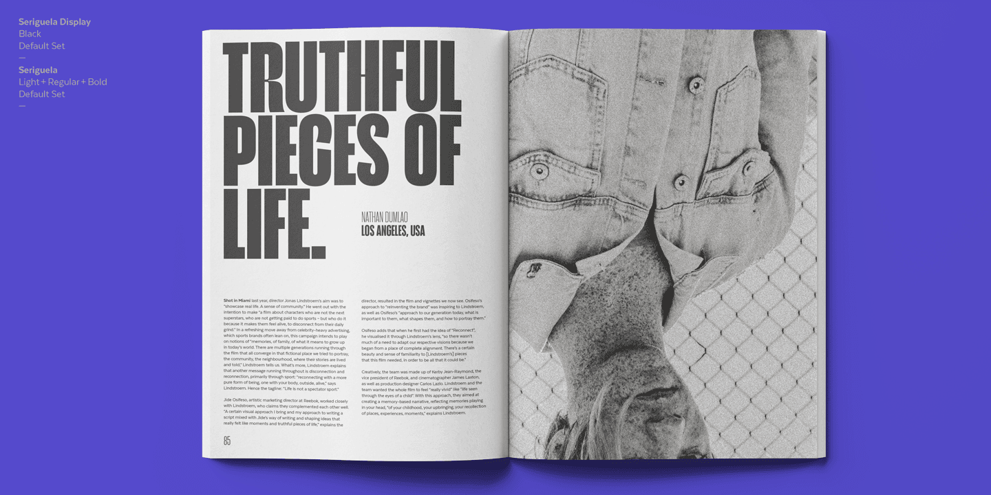 Seriguela Font Family preview 7