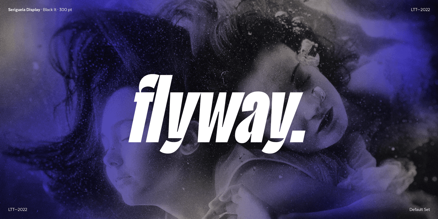 Seriguela Font Family preview 9