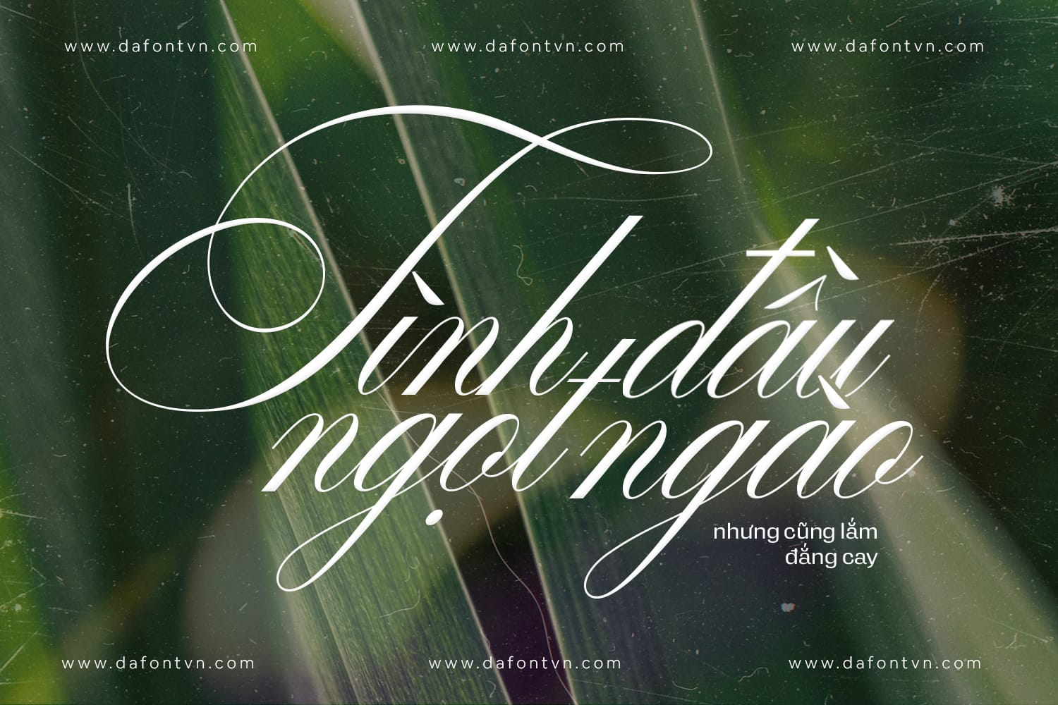Desirable Calligraphy preview 2