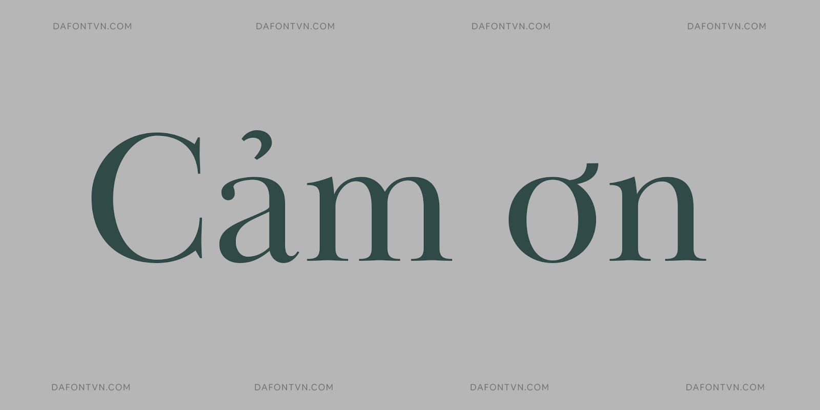 Font Baskerville Display PT Việt hóa preview 6