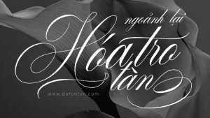 Font Desirable Brush Texture Việt hóa preview 1