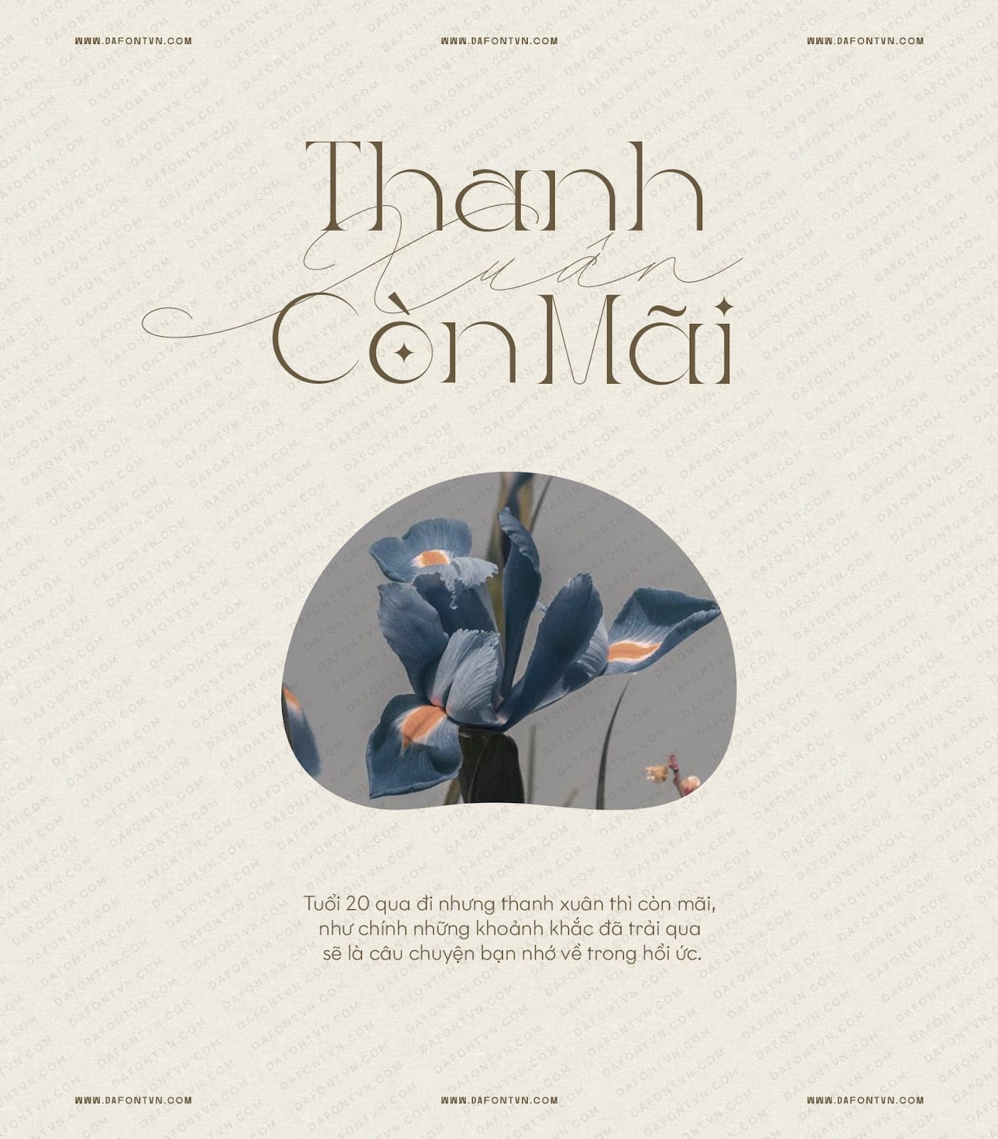 Font Ladybird Light Việt hóa preview 3