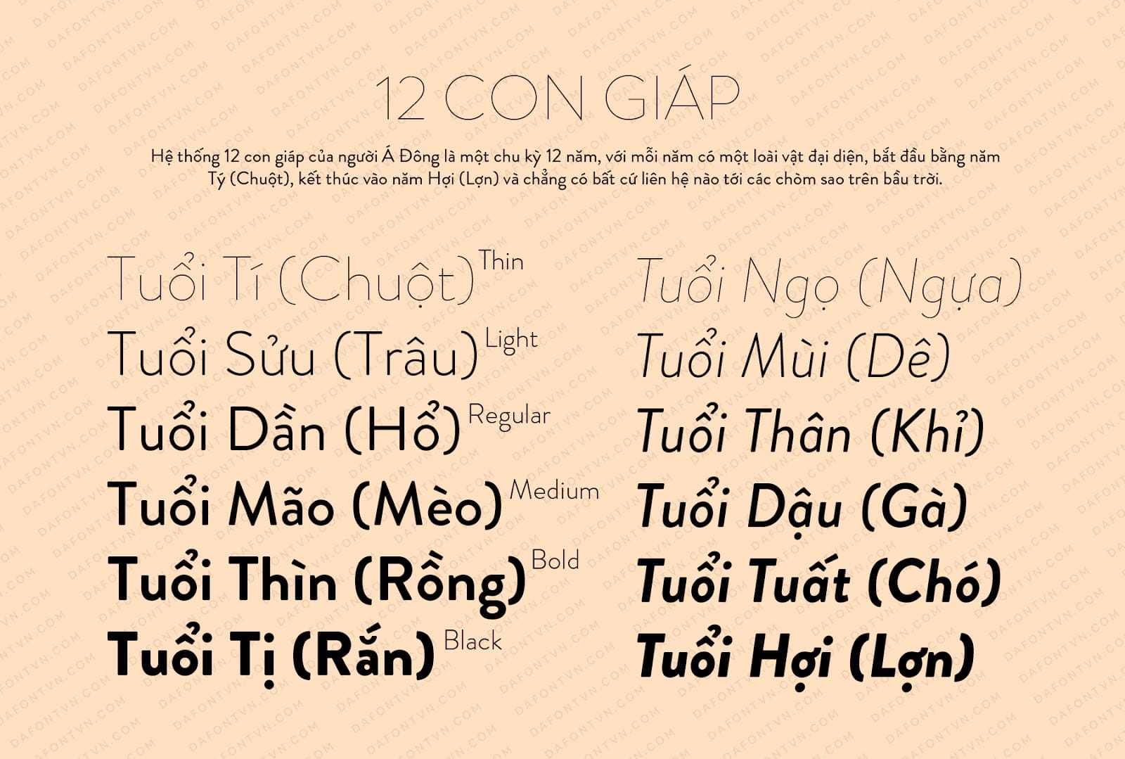 Font Brandon Grotesque Font Family Việt hóa v2.0 preview 3