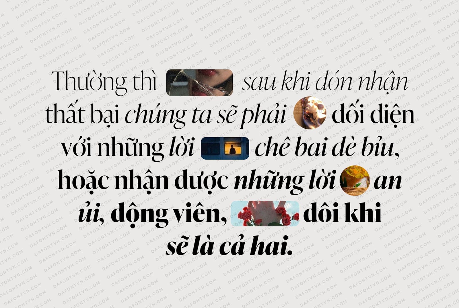 Trọn bộ font IvyPresto Display Việt hóa (10 font) Font IvyPresto Display Việt hóa preview 3