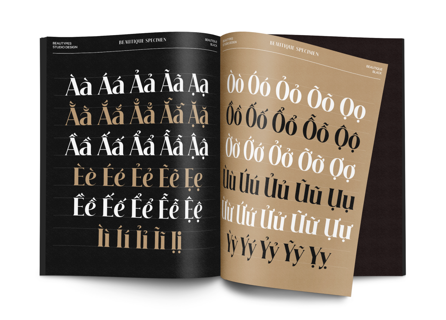 Beautique Display Font pic4