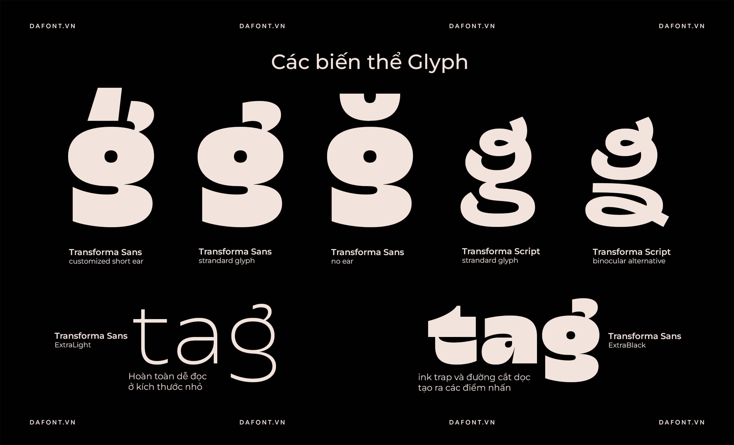 Font Transforma Sans việt hóa - Các biến thể Glyph