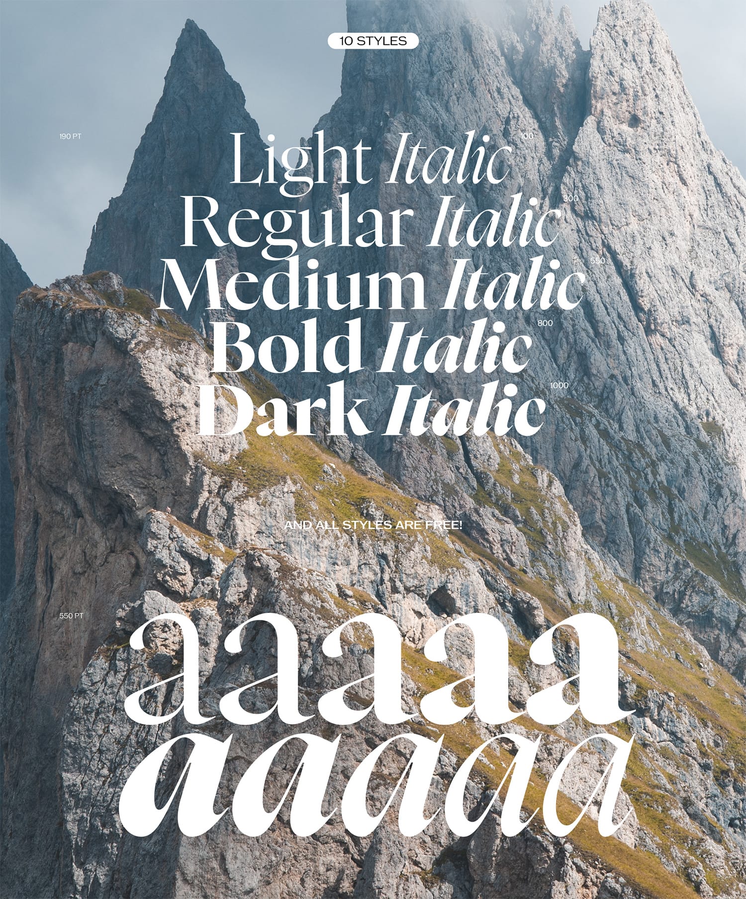 NYGHT SERIF pic1