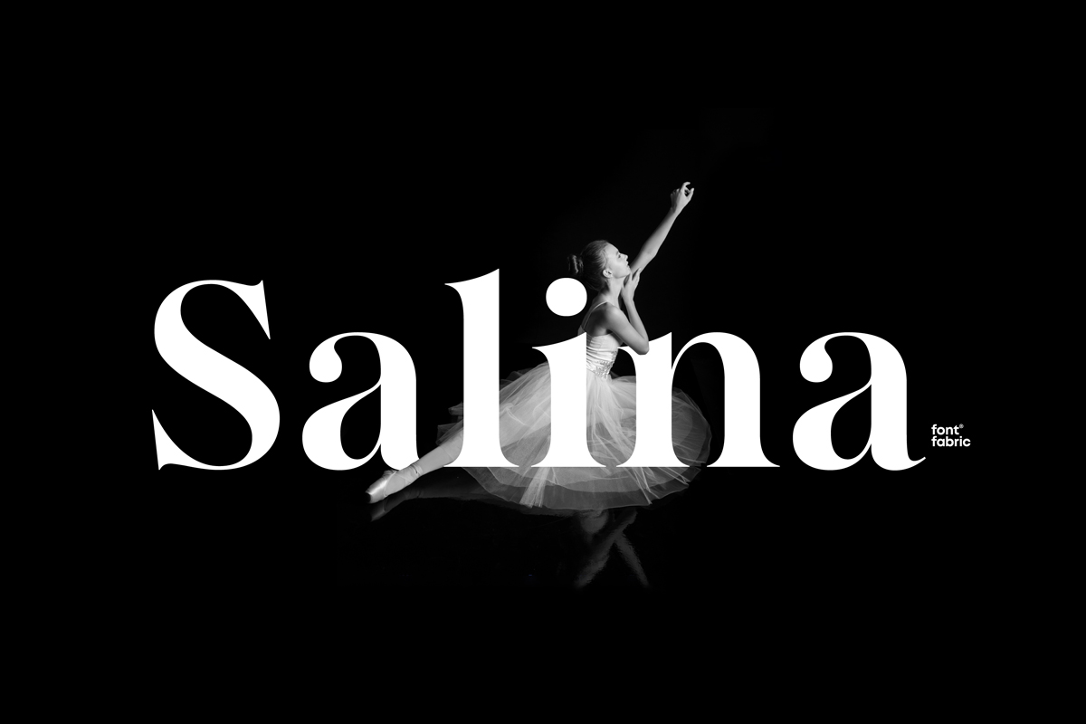 Salina Font Family Free Download