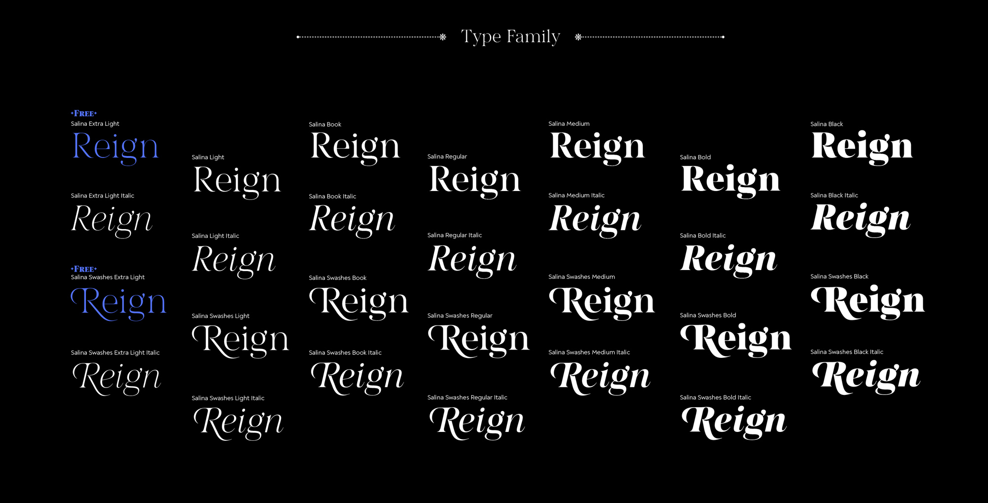 Salina Font Family pic1