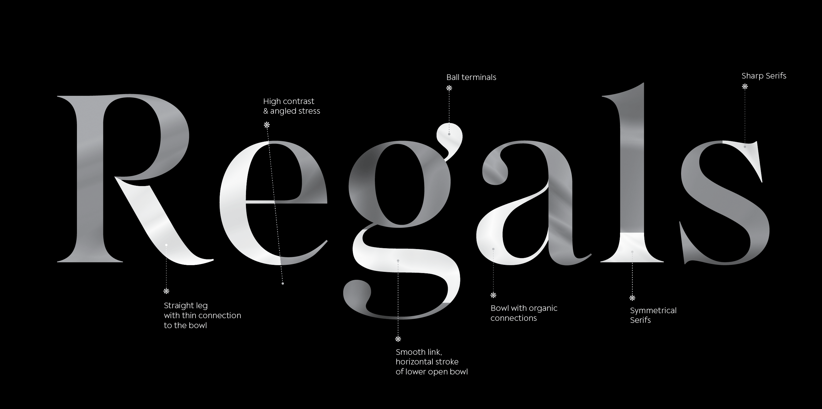 Salina Font Family pic2