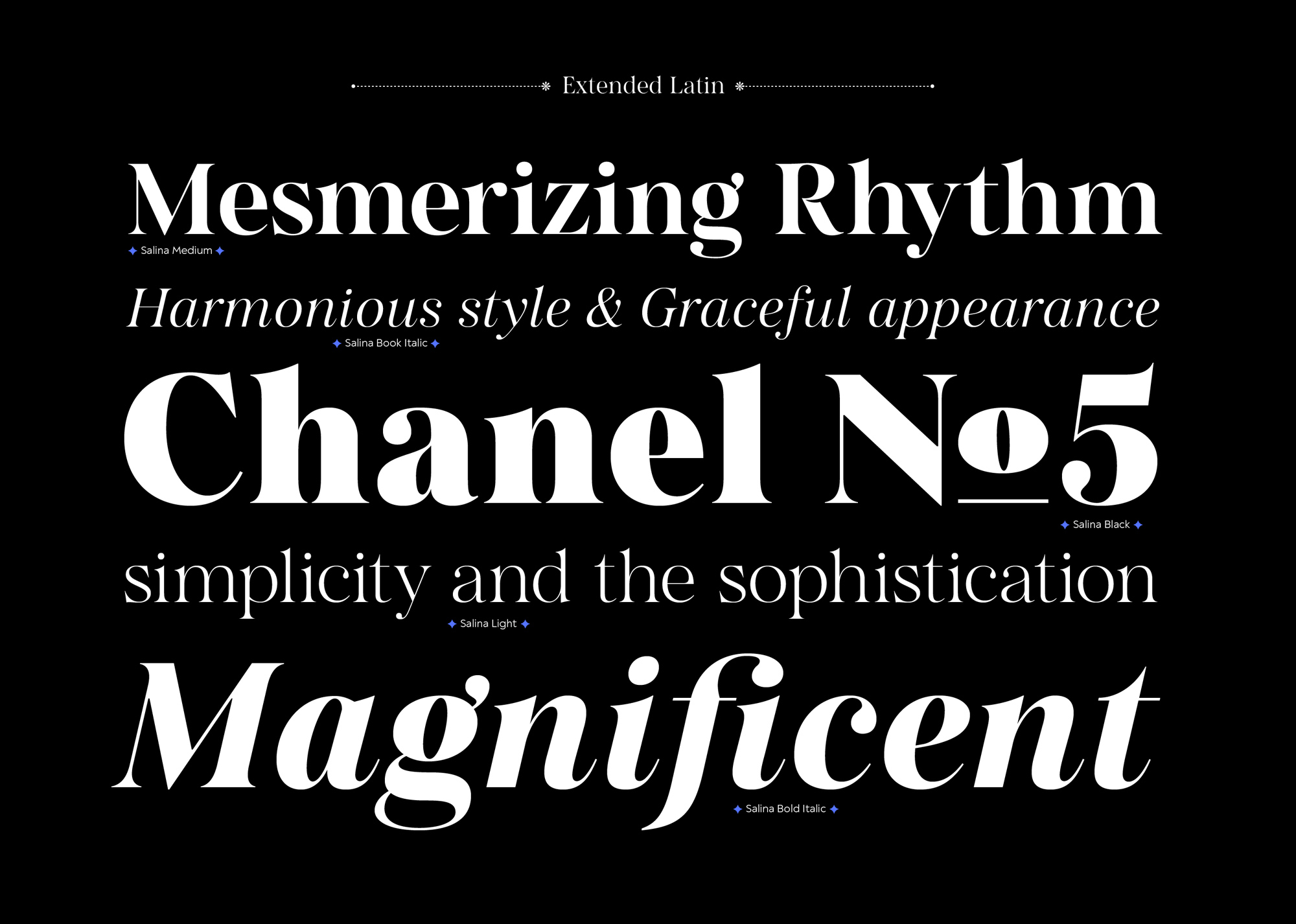 Salina Font Family pic3