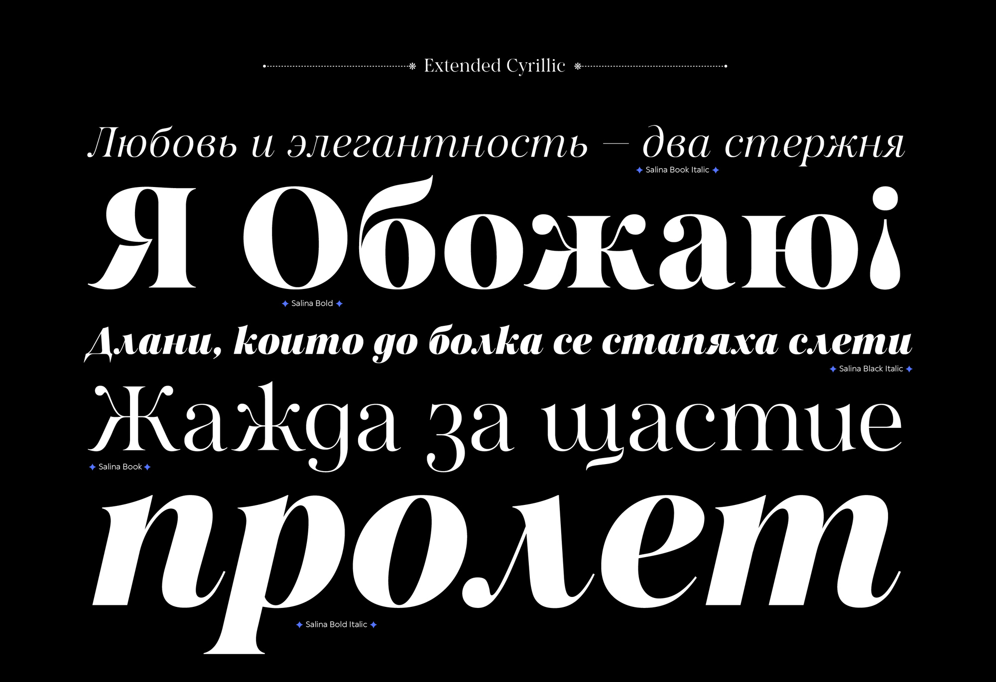 Salina Font Family pic5