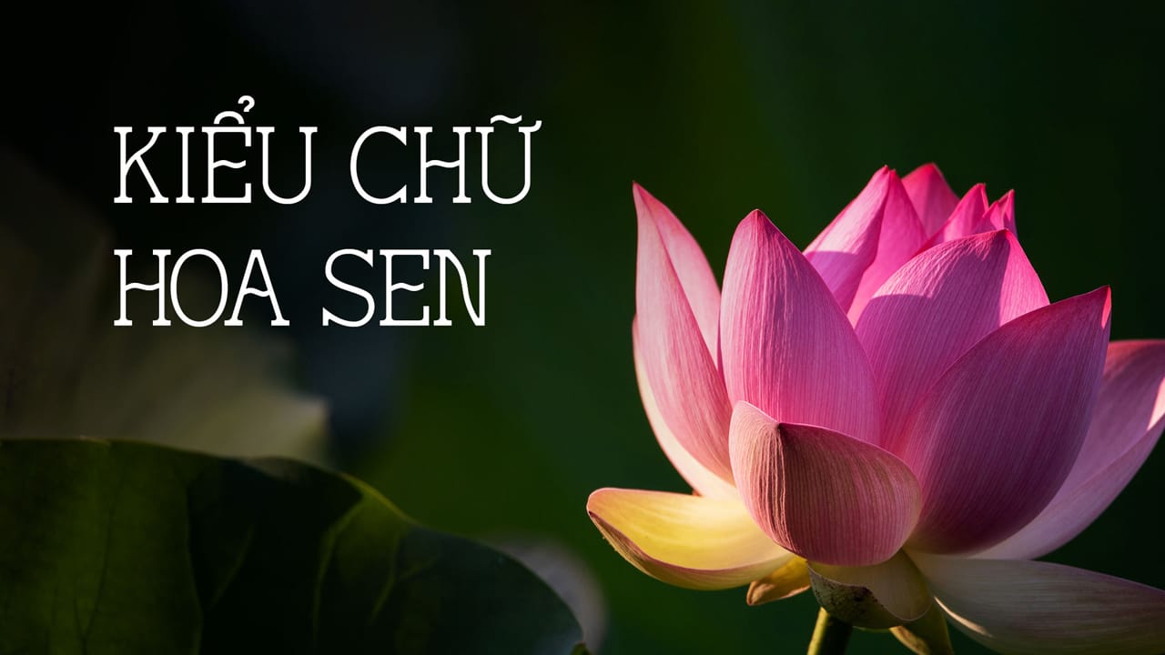 Hoa Sen Typeface – Font tiếng việt miễn phí Hoa Sen Typeface preview 1