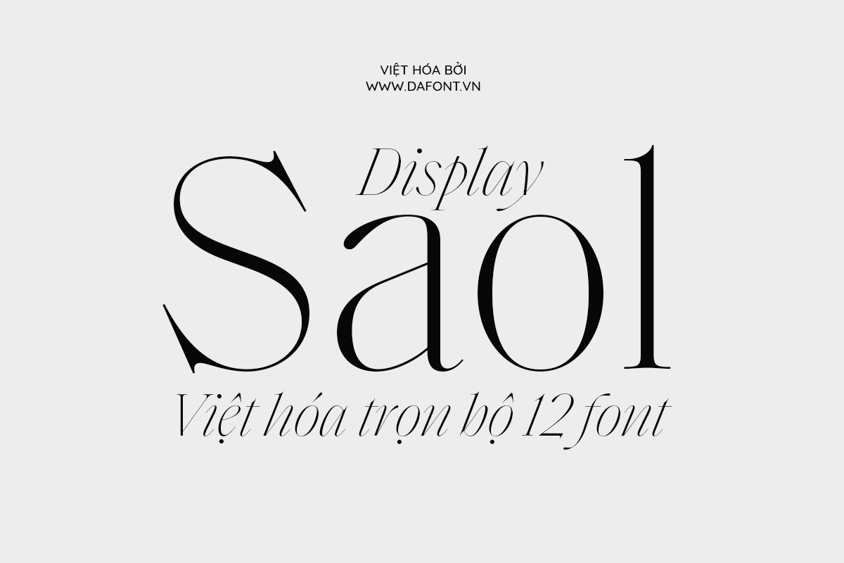 DFVN Saol Display Việt hóa (12 font) 22 DFVN Saol Display viet hoa