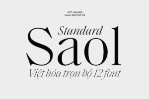 DFVN Saol Standard viet hoa
