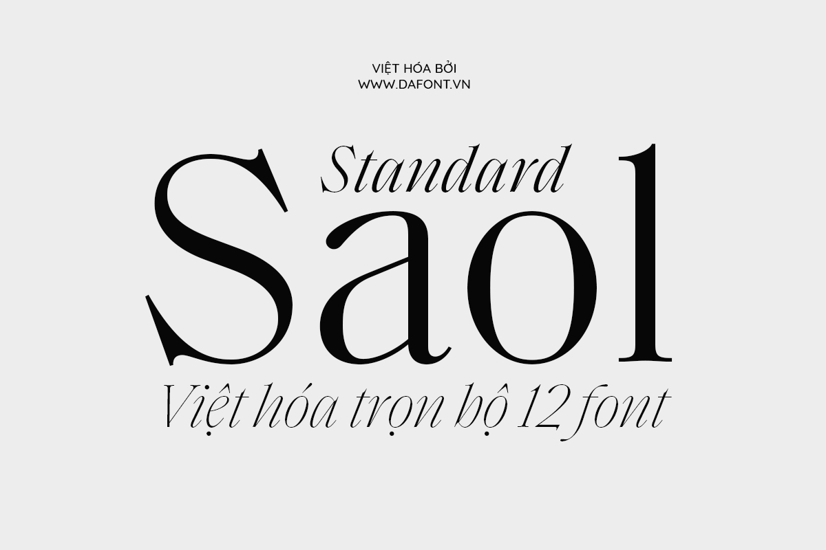 DFVN Saol Standard Việt hóa (12 font) 23 DFVN Saol Standard viet hoa
