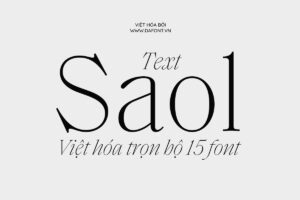 DFVN Saol Text viet hoa
