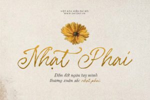 DFVN Les Palmiers - Font viết tay Việt hóa 2 Font viet hoa DFVN Les Palmiers