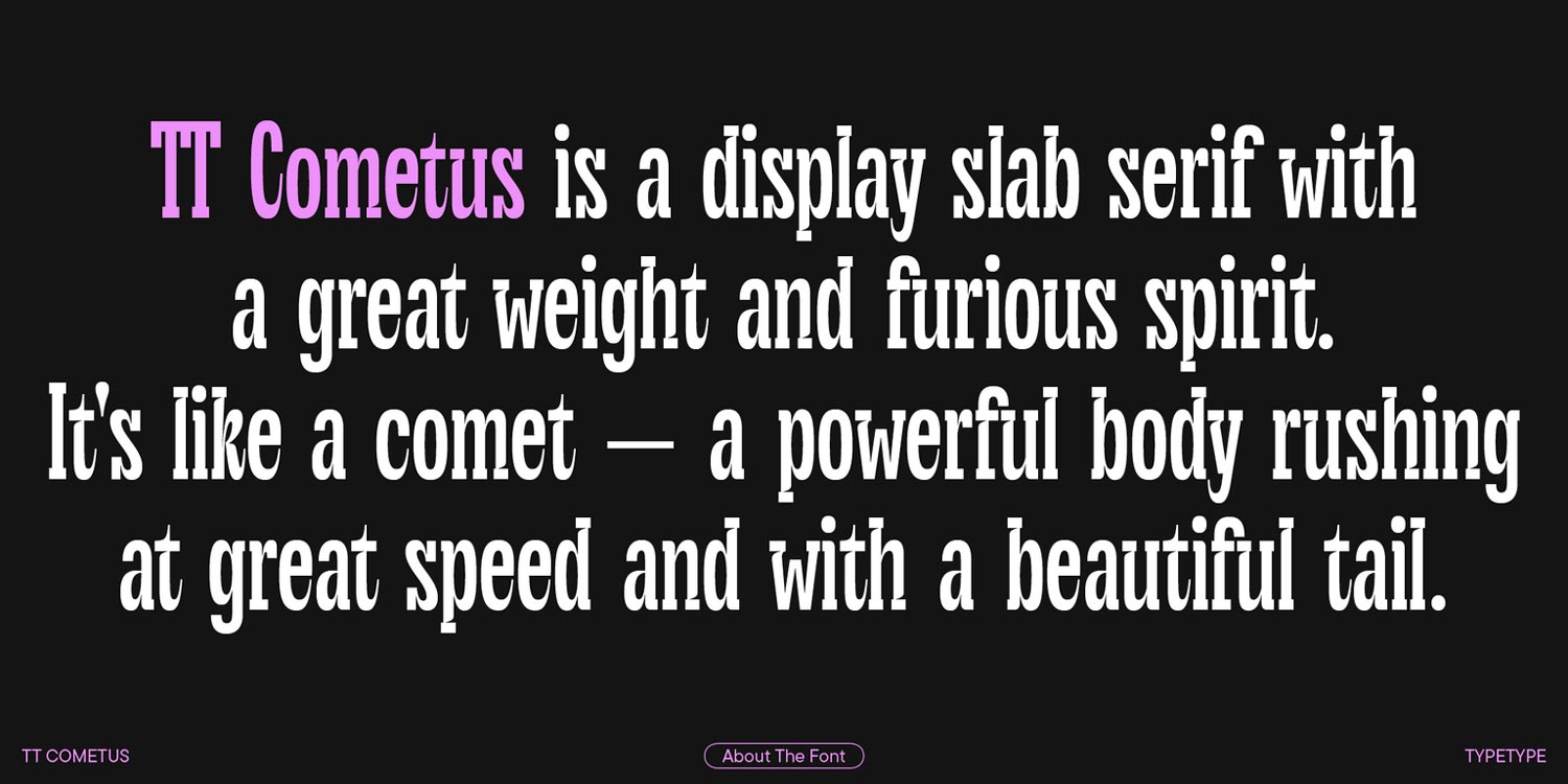 TT Cometus Font Family pic6
