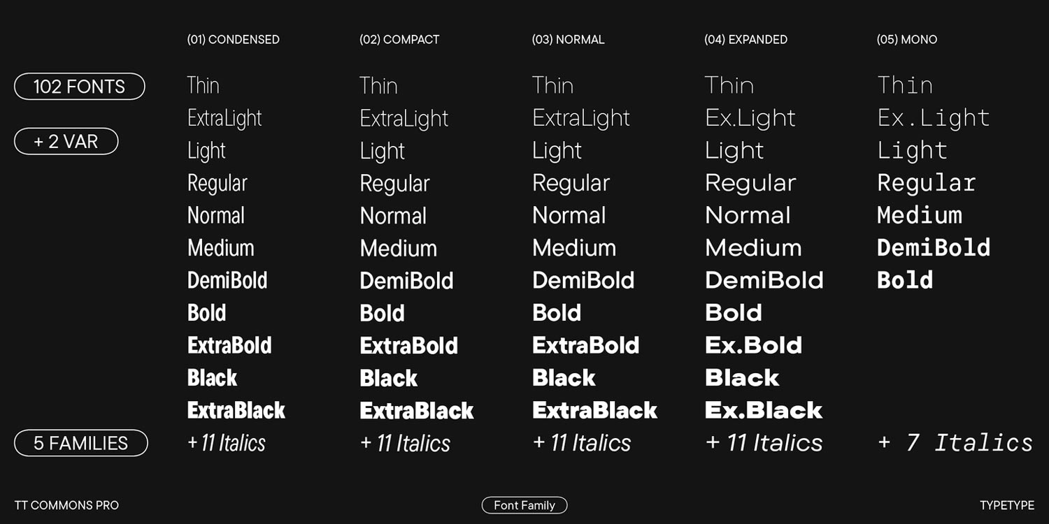 TT Commons Pro Font Family pic2