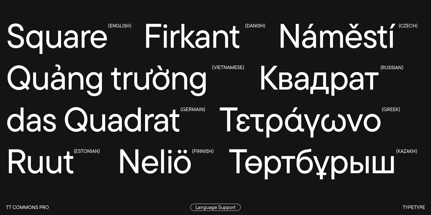 TT Commons Pro Font Family pic6