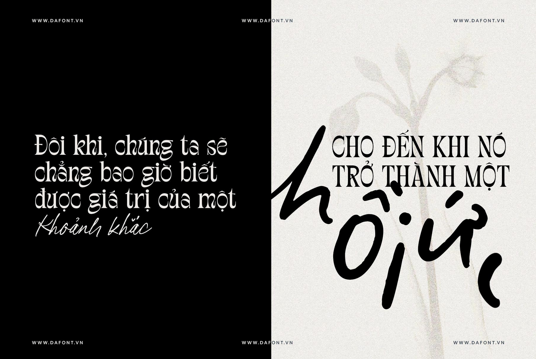 DFVN TAN – FAIRGROUNDS