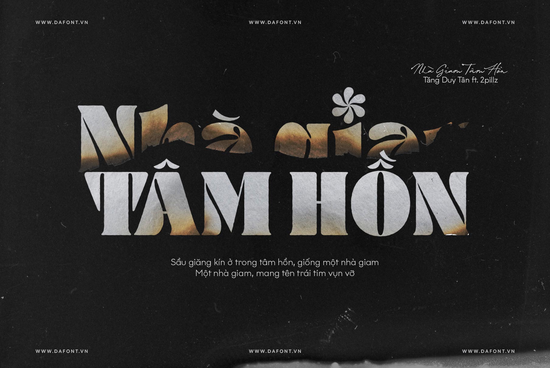 DFVN TAN – DAISY