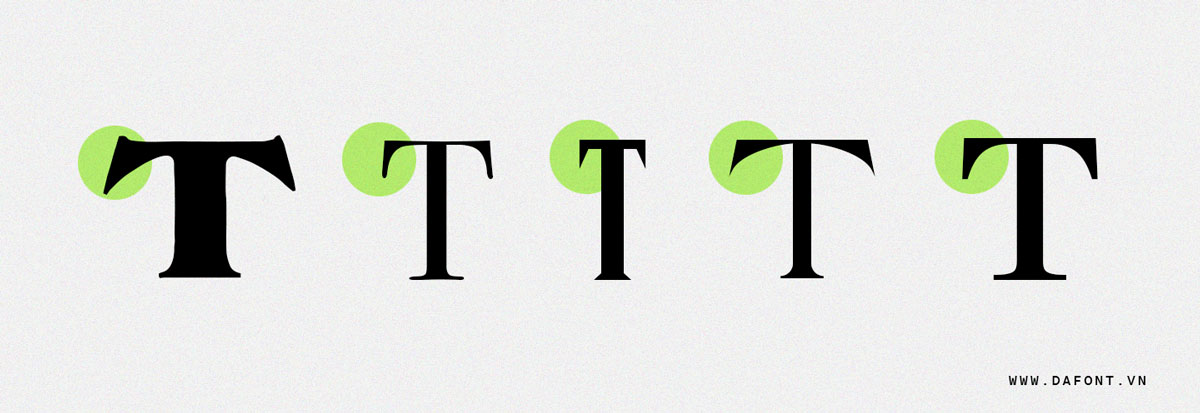 Font Serif là gì?