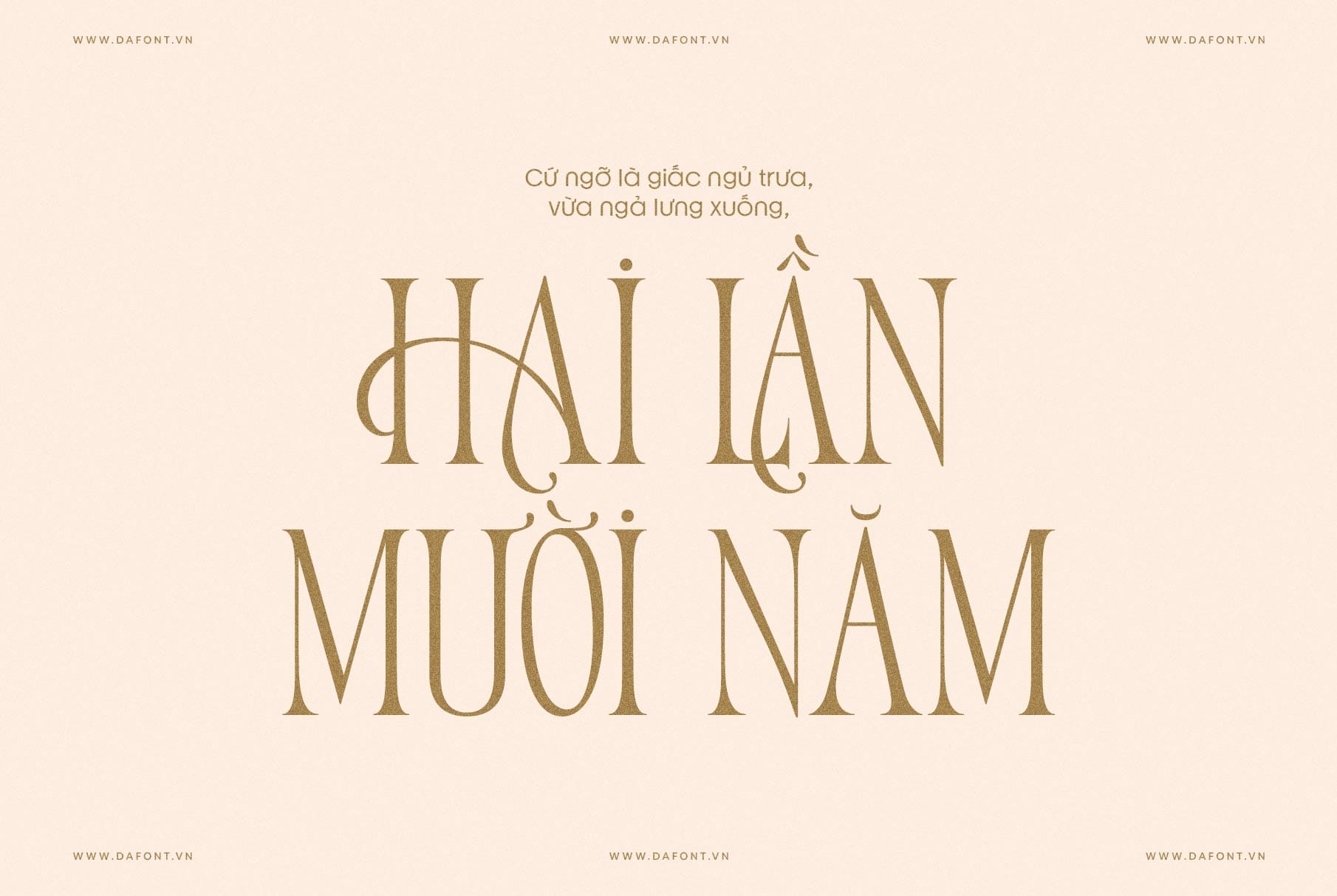 DFVN TAN – VARIETY