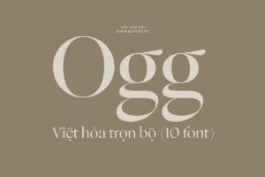 DFVN Ogg font Viet hoa
