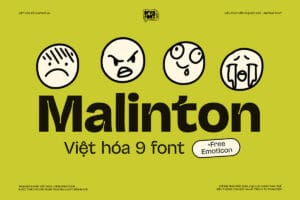 DFVN Malinton Viet hoa