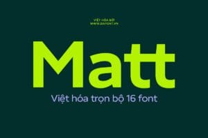 DFVN Matt Viet hoa