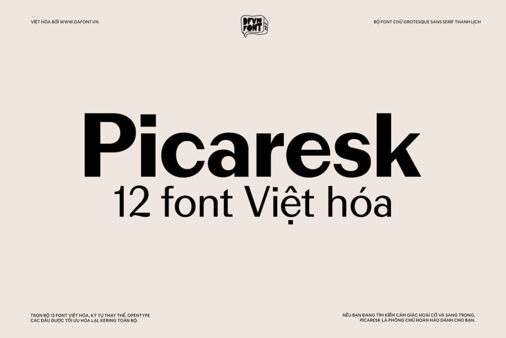 DFVN Picaresk Việt hóa (12 font) 16 DFVN Picaresk Font Viet hoa